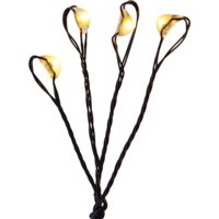 728-29_FL_001.png