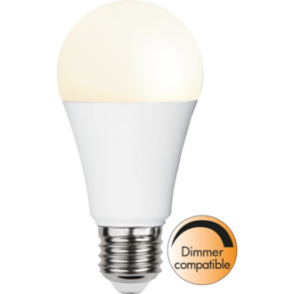 LED Lamp E27 A60 Opaque Basic