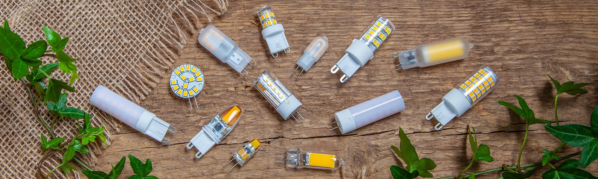 Basic Bulbs