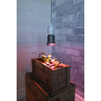 357-32_MB_001.png