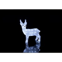 583-67_PB_002.png