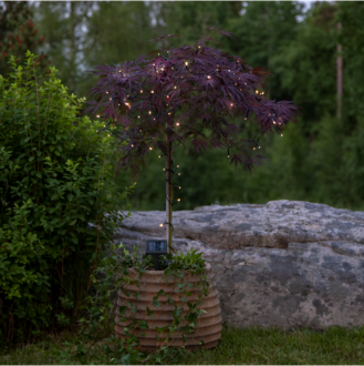 Solar Light Chain Bassis