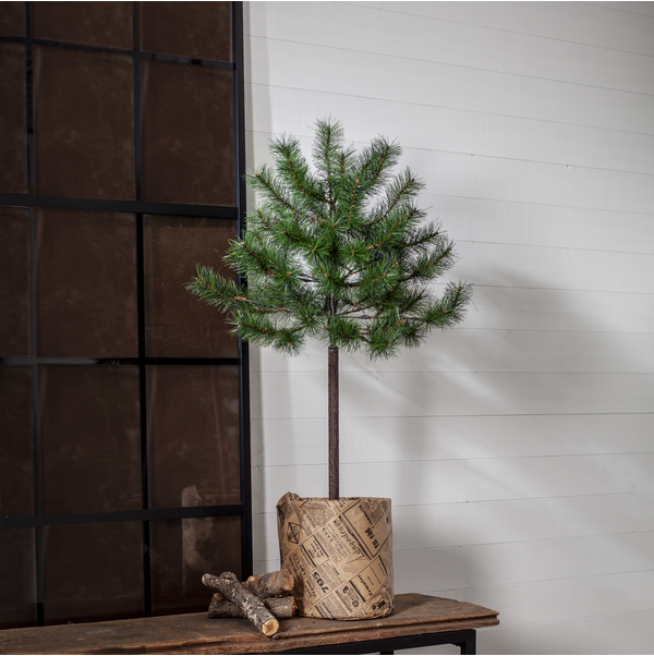 Christmas Tree Tallis