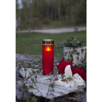 064-83_MB_002.png