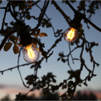 LED Lamp B22 A55 Outdoor Lighting