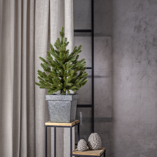 Decorative Tree Granboda