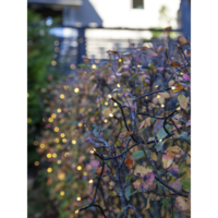 495-17_MB_012.png