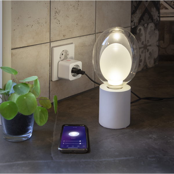 Accessory Smart Plug Indoor