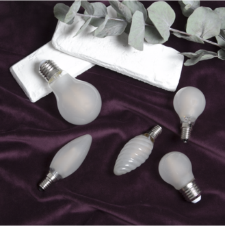 LED Lamp E27 G45 Frosted