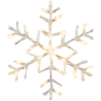 Snowflake Antarctica