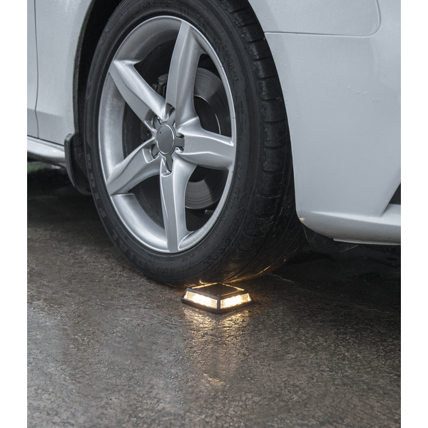 Solar Spotlight Driveway Christmas & decorative lighting for indoors