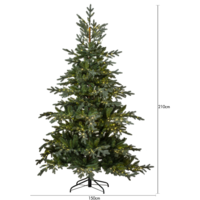 608-55-2_MT.png