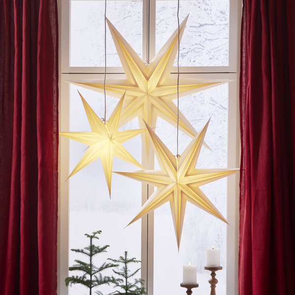 Star Holly