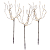 860-24_MN.png