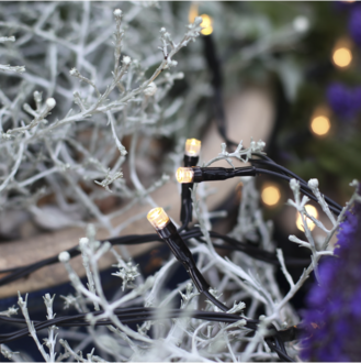 Light Chain Dura String LED