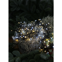 498-07_MB_005.png