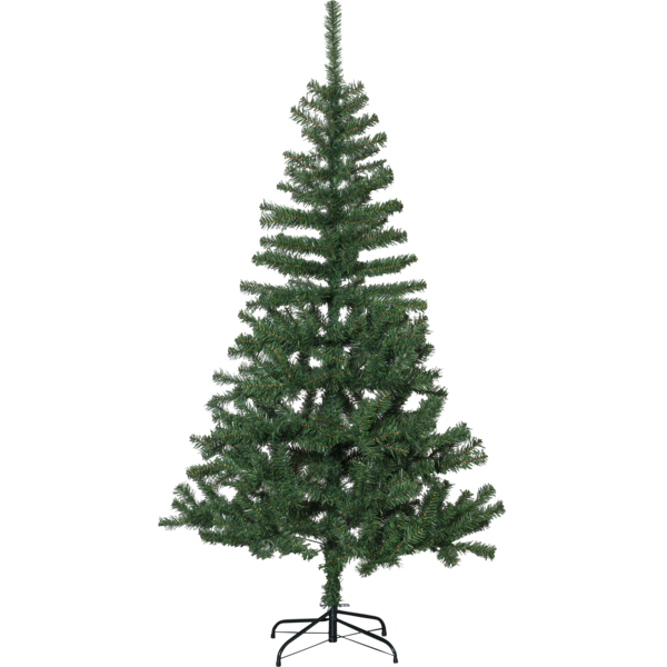 Christmas Tree Dalbo