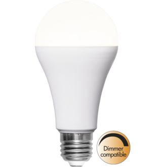LED Lamp E27 A65 High Lumen