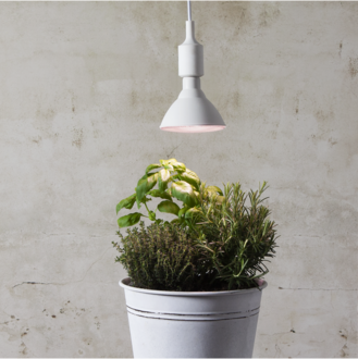 LED Lamp E27 PAR38 Plant Light