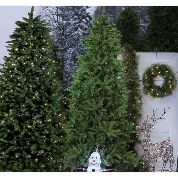 Christmas Tree Minnesota