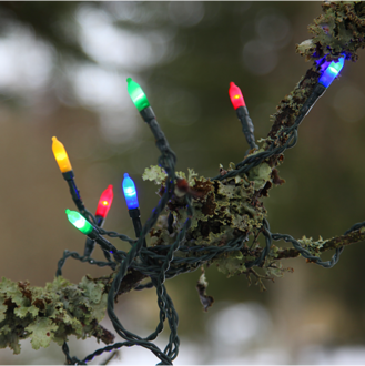 Light Chain P-LED Outdoor