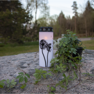 LED Memorial Candle Dandelion