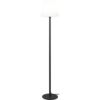803-91_MN.png