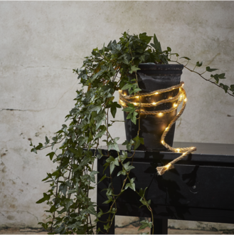 Light Chain Jutta