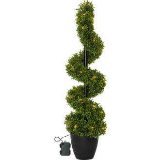 Decorative Tree Buxbom