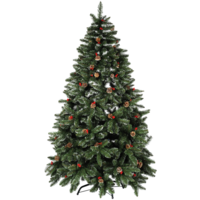 610-50_FL_002.png