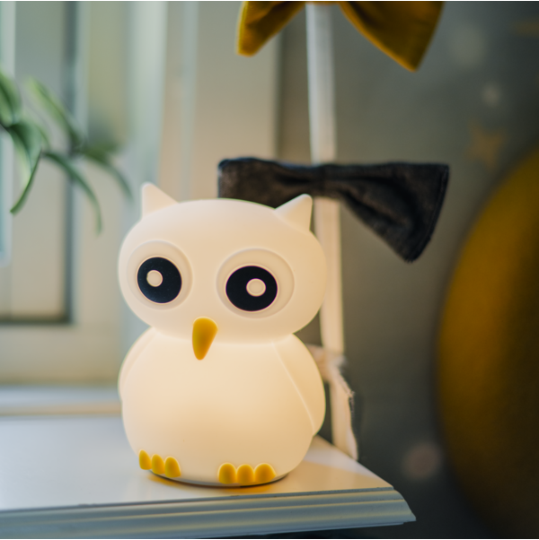 LED Nightlight Functional