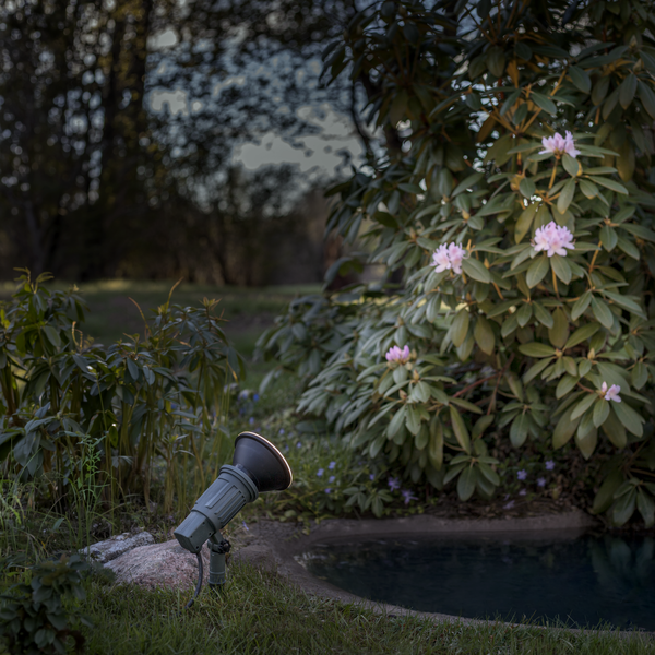 Spotlight Outdoor Fixture