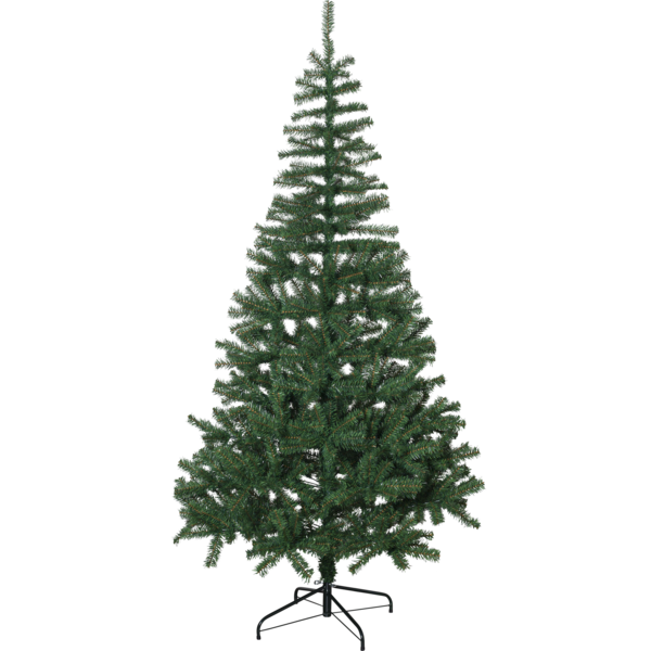 Christmas Tree Dalbo