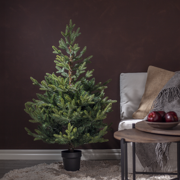 Christmas Tree Granby