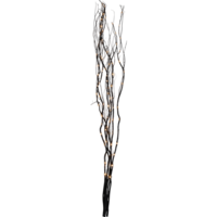 584-23_FL_001.png