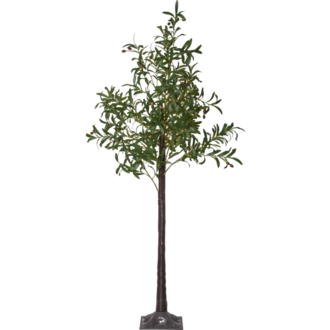 Decorative Tree Olivec