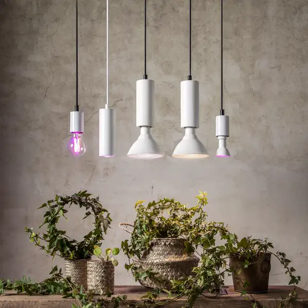 LED-lampa E14 PAR16 Plant Light