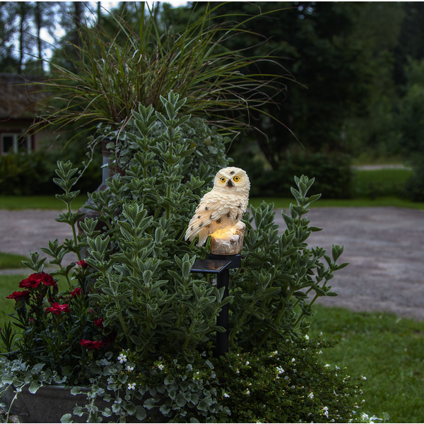 Solar Decoration Owl