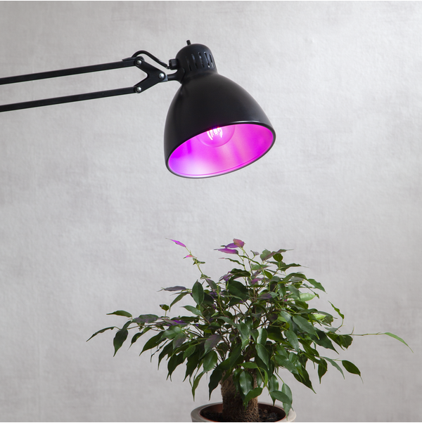 LED Lamp E27 A60 Plant Light