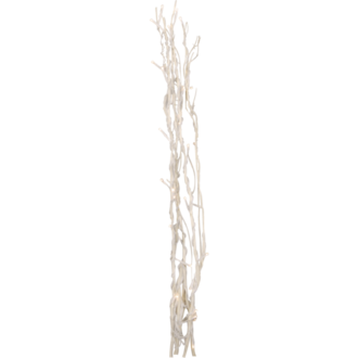 Decorative Twig Willow