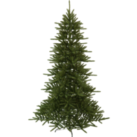 608-62_FL_001.png