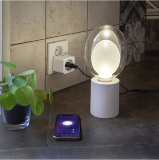 Accessory Smart Plug