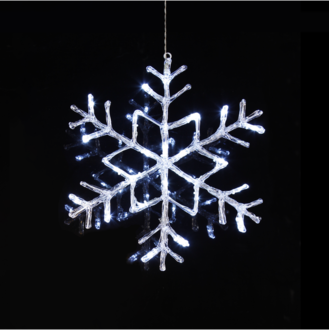 Snowflake Antarctica