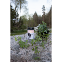 064-97_MB_001.png
