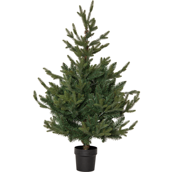 Christmas Tree Granby