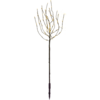 860-25_MN.png