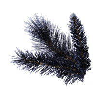 610-10_FL_002.png