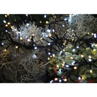 498-07_MB_004.png