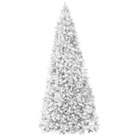610-21_FL_003.png