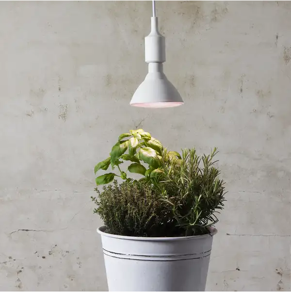 LED-Lampe E27 PAR38 Plant Light